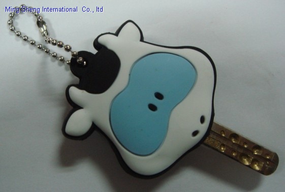 Key Cover